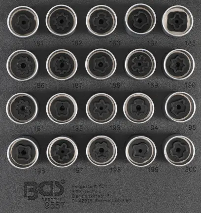 115923-bgs-9557