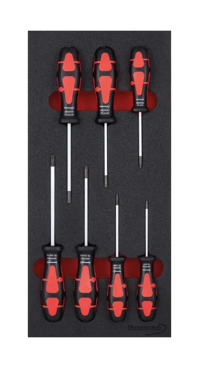 Modul pre nástroje 1/3 Skrutkovač Torx FORMAT (EDE61750120)