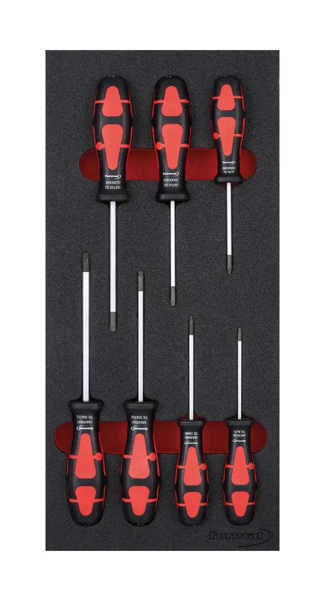Modul pre nástroje 1/3 Skrutkovač Torx FORMAT (EDE61750120)
