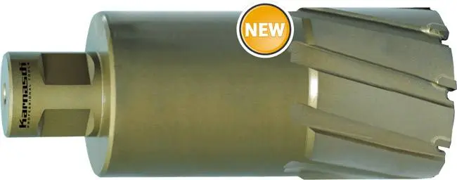 15579-karn-20-1316-100