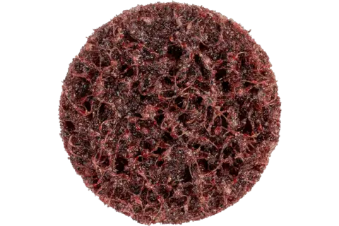 169780-4007220584507