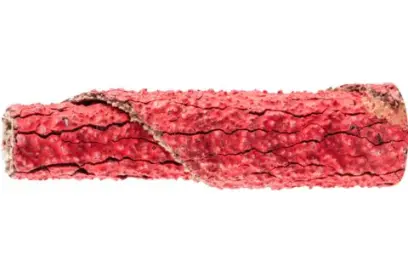 183185-pferd-803356-pr-0935-co-cool-60