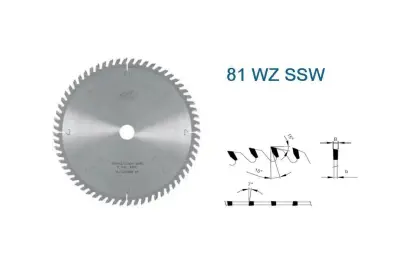 Pílový kotúč s SK pr. 260 x 2,8/1,8 x 30 - 60 WZ, typ SSW 22 5381 (PI225381WZSSW26060)
