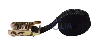 pás upínací ráčnový jednodílný 25mm, 1,5t, 10m (RPC1500-001000)