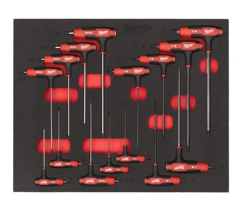 Smíšená sada T-klíčů HEX a Torx v pěnové vložce, 4932501233