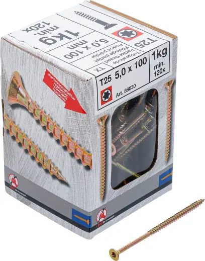 Viacúčelové skrutky T-profil T25 5,0 x 100 mm 1 kg / 120 ks Kraftmann 88030 (BGS1088030)