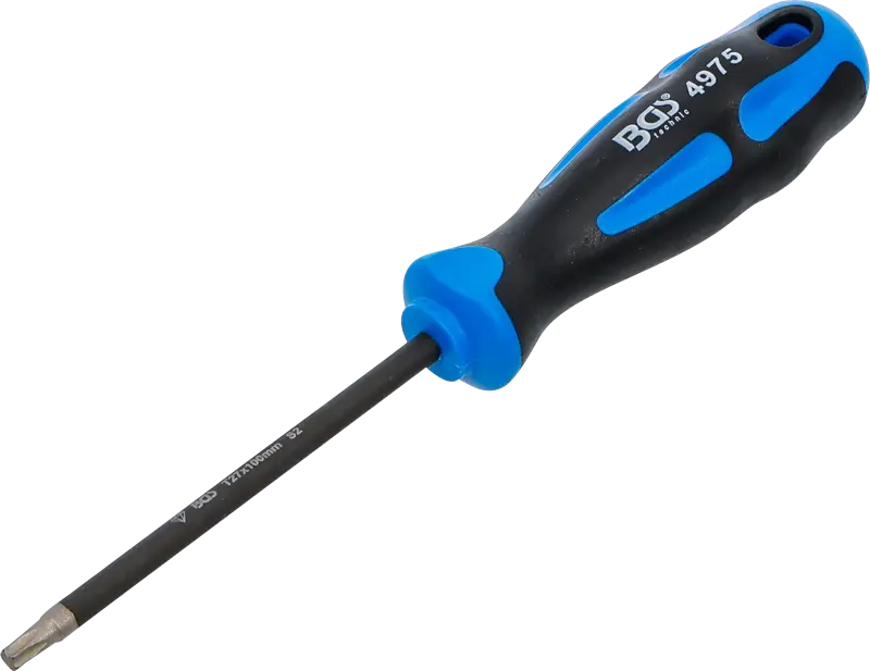 Skrutkovač | s diamantovým povlakom | T-profil (pre Torx)