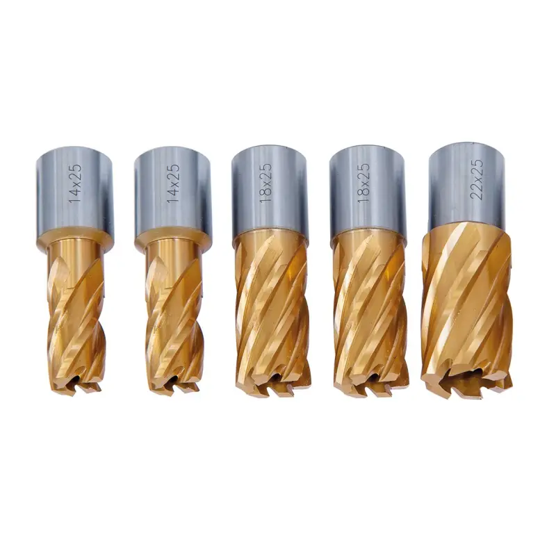 Jádrové vrtáky Bernardo HSS pr. 14 ÷ 22 mm, hloubka vrt.25 mm. Standard CDS povlakováno TiN. (Sada 5 dílů) (BER411105)