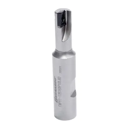 Stopková fréza pr. 14 mm Bernardo 42-10061 s vymeniteľnými TK britovými doštičkami (BER4210061)