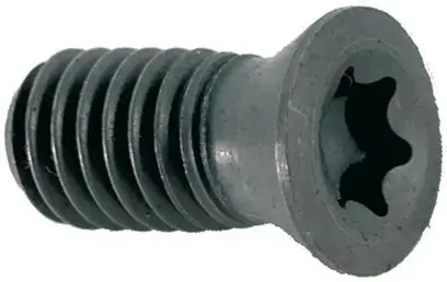 Skrutka Torx pre SE.12 (EDE29990193)