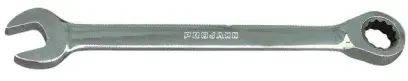 38166-projahn