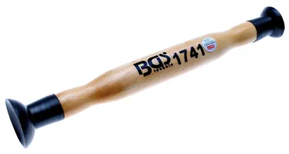 47399-bgs-1741