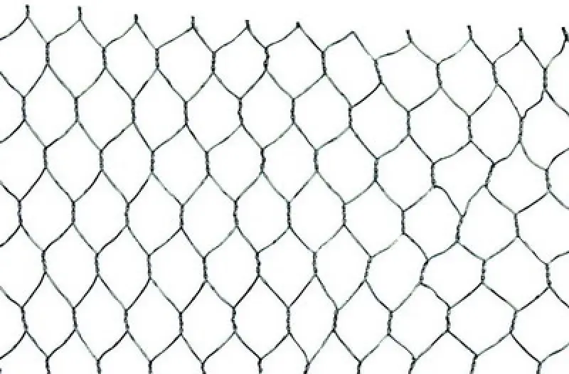 Pletivo HEX,25/0.8x1000x50M Zn (L42153)