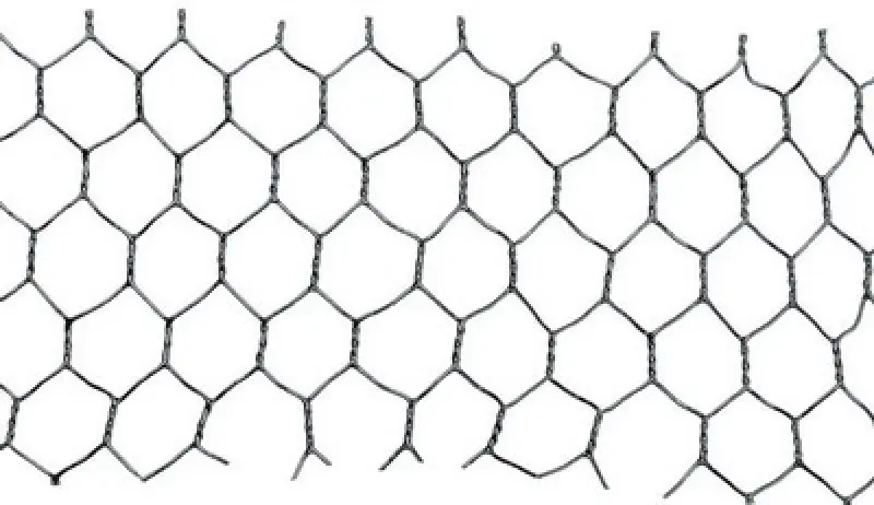 Pletivo HEX,13/1x1000x25M PVC (L42160)