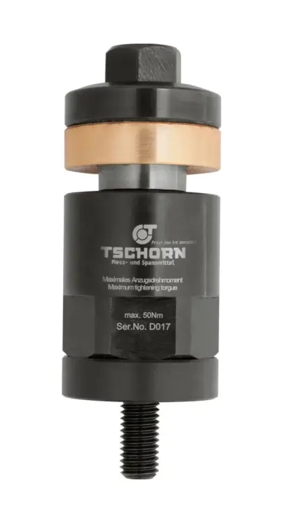 Upínacia skrutka 100 mm M10 TSCHORN (EDE33770004)