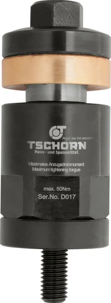 Upínací svorník 100 mm ko lík M10 TSCHORN