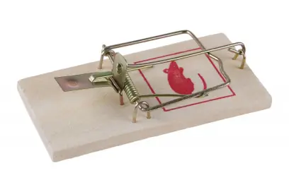 Past na myši dřevěná 90x45mm 2ks (L70221)