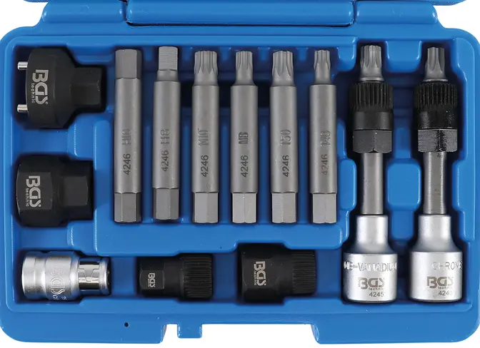 Nářadí (bity a hlavice) na alternátory BGS104246 Sada 13dílů (BGS104246)