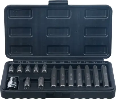 Bity 3/8" Kraftmann T-profil T20 ÷ T55, dlhé a krátke (Sada 15 dielov). BGS 5040 (BGS105040)