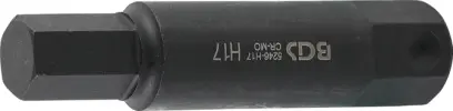 79315-bgs-5246-h17