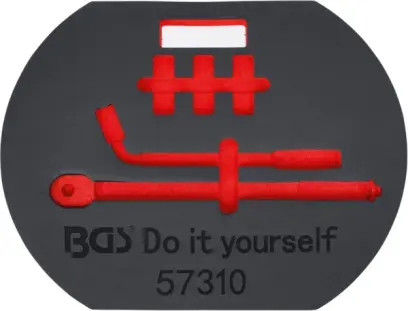 7963-bgs-57310-1