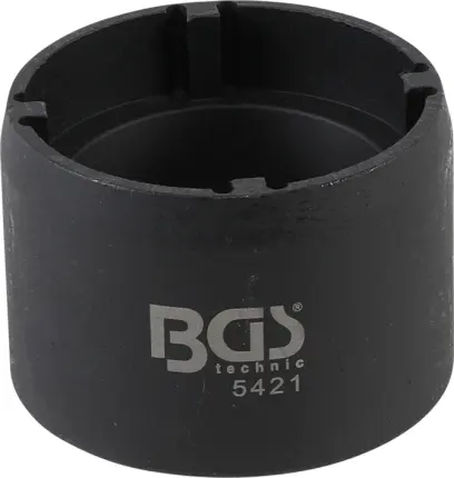 80618-bgs-5421