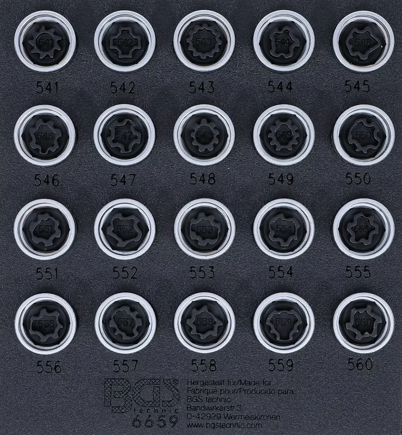 Náraďový modul 1/6 - BGS106659 Zástrčné hlavice pro bezpečnostní šrouby pro VAG Sada 20 dílů (BGS106659)