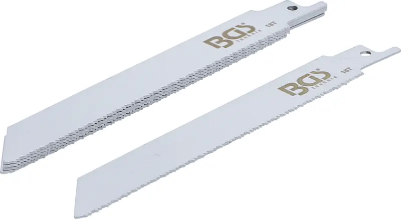 Pilové plátky BGS1074382 pro šavlovou pilu BGS 70993 (Sada 5 ks) (BGS1074382)