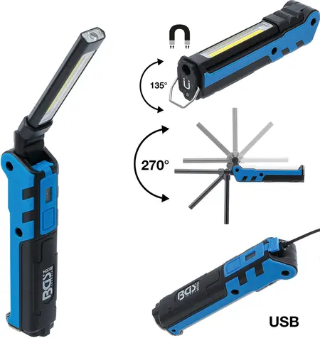 105493-bgs-85334-cat