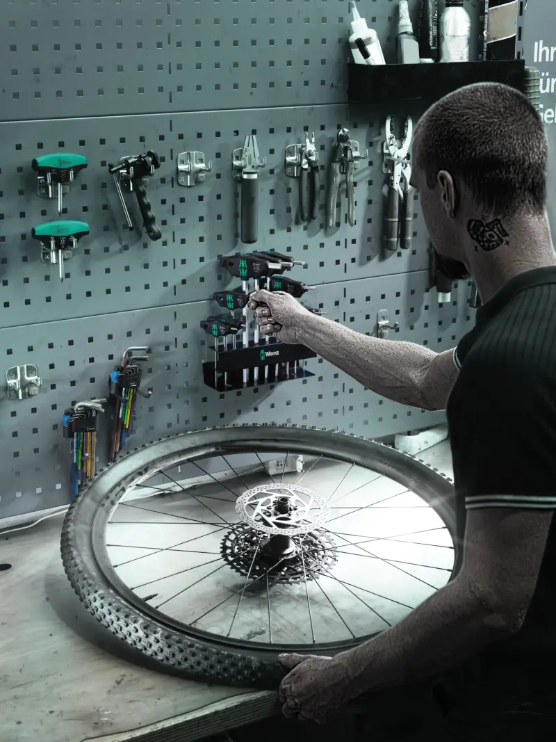 110792-004174-anw-bicycle-set-6-motiv-06-7637-rk