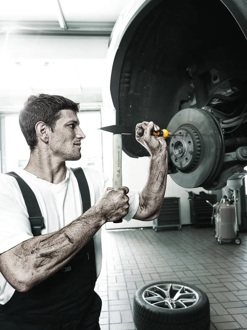 116537-018163-rm-kompakt-900-motiv-01-02-07-2022-10051-63357b5a81940136769384