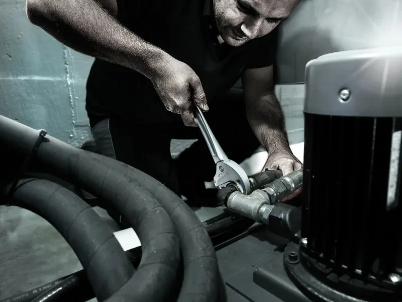 117113-020104-motiv-012