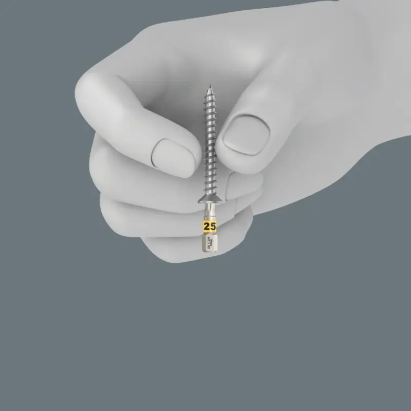 128823-057435-tipp-867-1-torx-hf-btz-haltefunktion