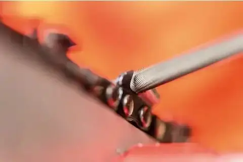 131247-pferd-021910-412-200-x-4-5-premium-03