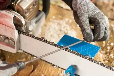 131247-pferd-021910-412-200-x-4-5-premium-04