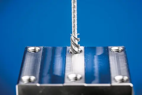 131651-pferd-036846-ibu-2525-3-8-st-0-12-02