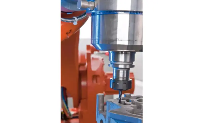 132809-pferd-047293-skm-0618-6-z3-plus-04