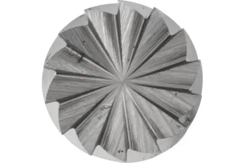 133510-pferd-049488-zyas-0313-3-z5-02