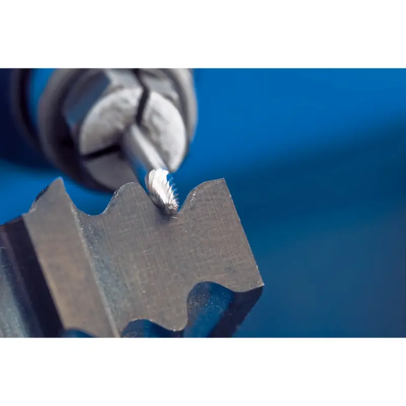 133839-awf-rbf-0307-3-z5-rgb