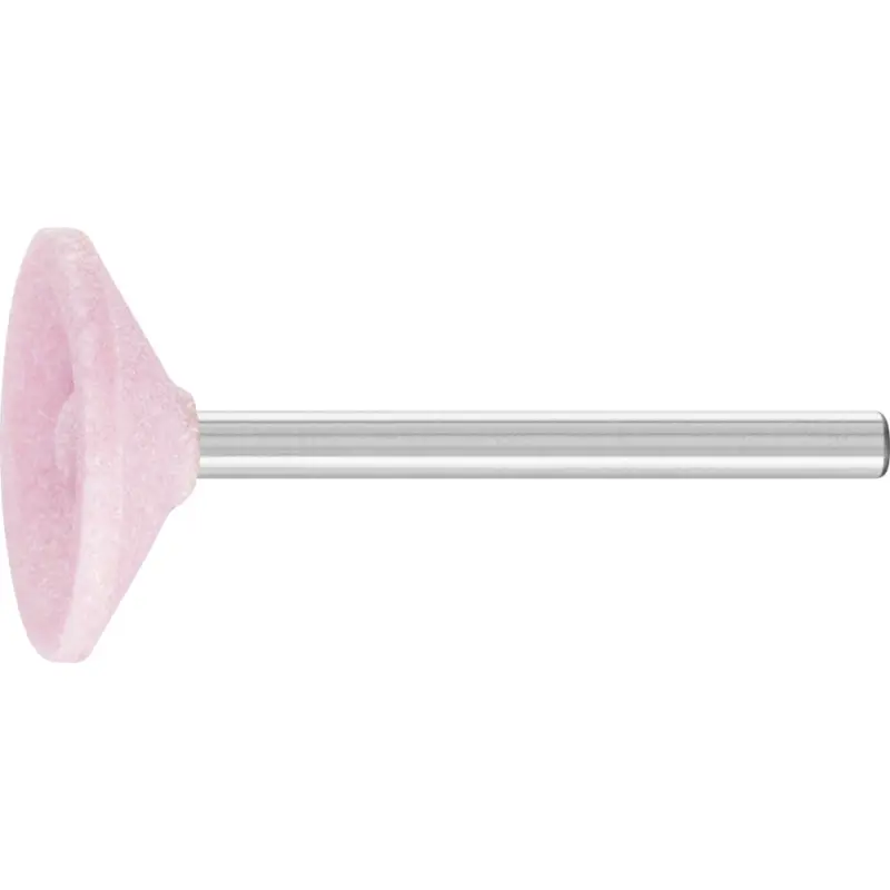 B81  3  AR 100 O  TĚLÍSKO BRUSNÉ (PF4007220117712)