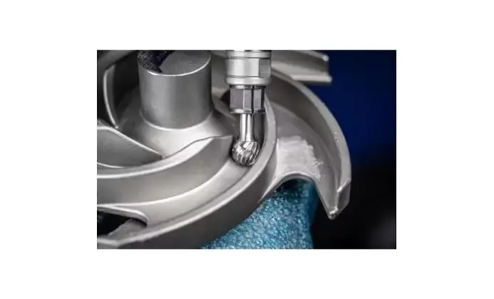 140949-pferd-133576-1412-allround-03