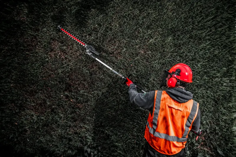 149380-4932464959-m18-foph-hta-app-4