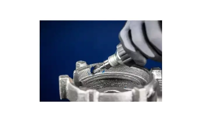 151034-pferd-226698-1406-allround-offen-04