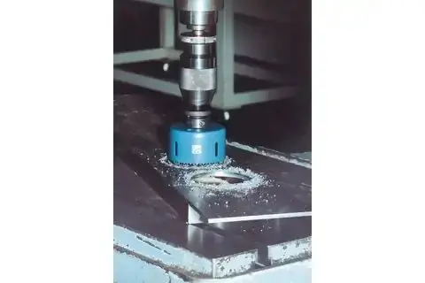 152853-pferd-244630-hls-68-02