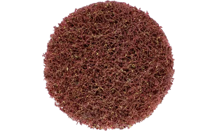 154513-pferd-266670-cd-vrw-50-a-100-vorne-rgb