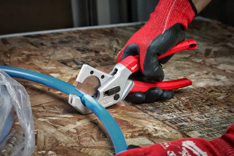 156885-4932479407-02