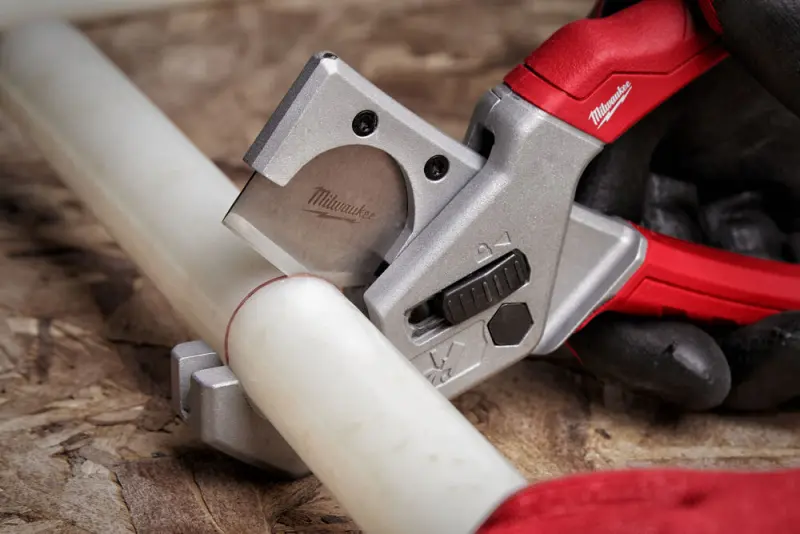 156885-4932479407-04