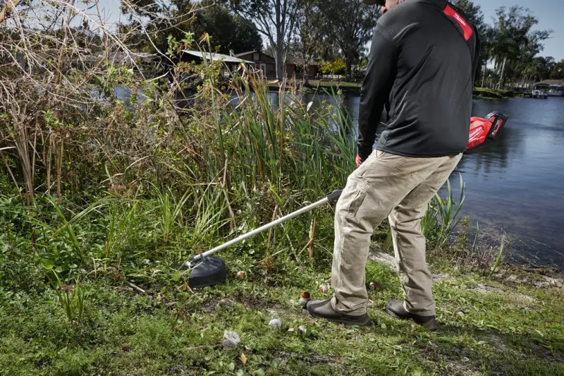 158907-4932479986-01-631858e4765a2542190293