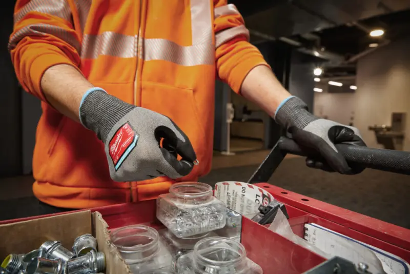 161575-4932480493-app-2