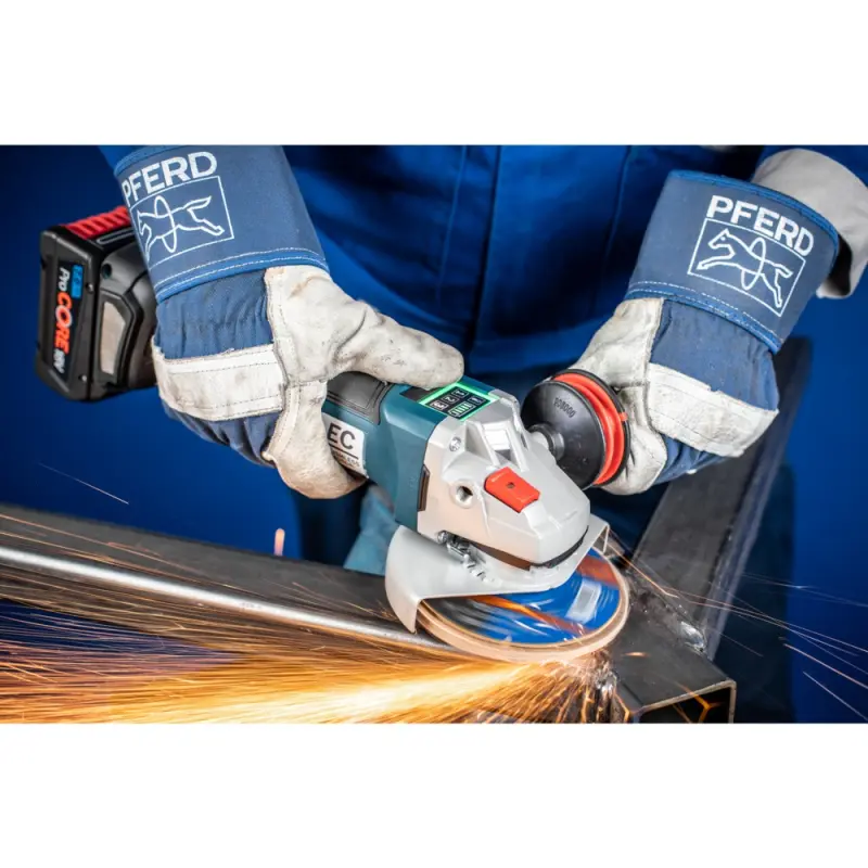 PFF 125-22 Z 60 PSF/22,2  KOTOUČ LAMELOVÝ PSF-Z (PF4007220512524)